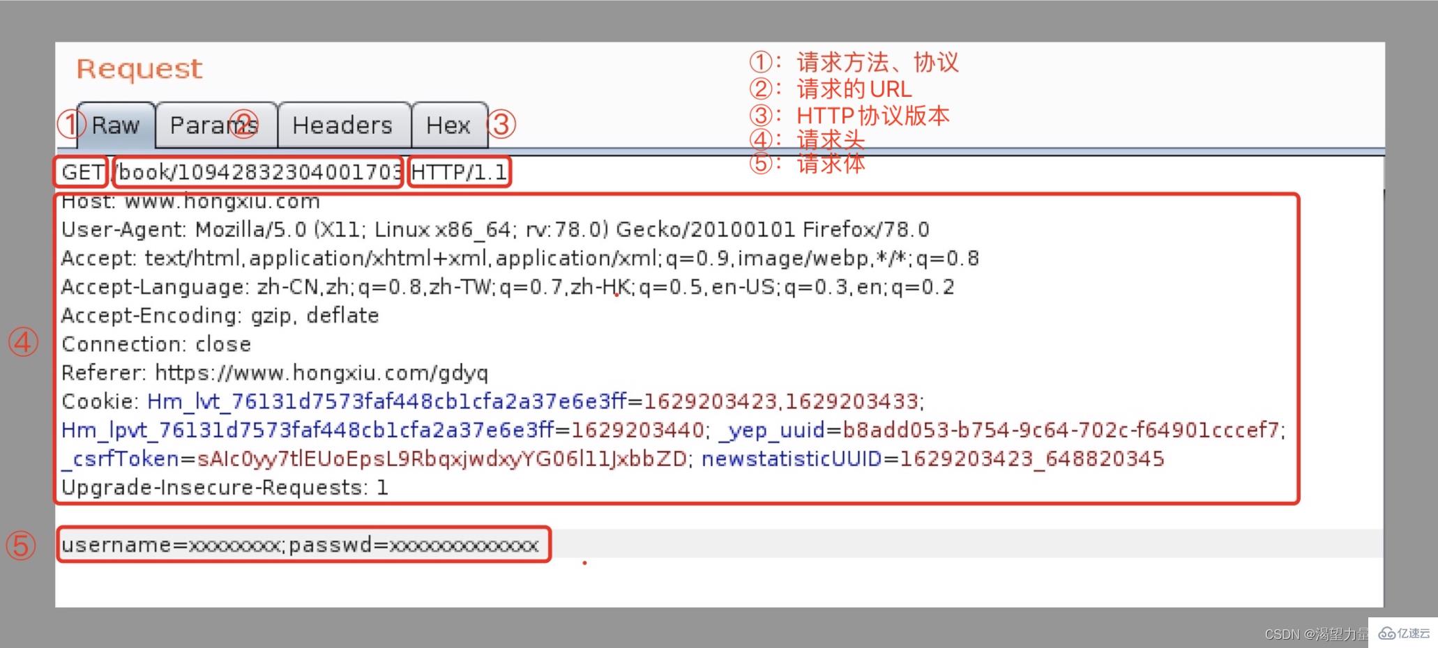 Python接口自动化测试中关于HTTP协议的知识点有哪些？