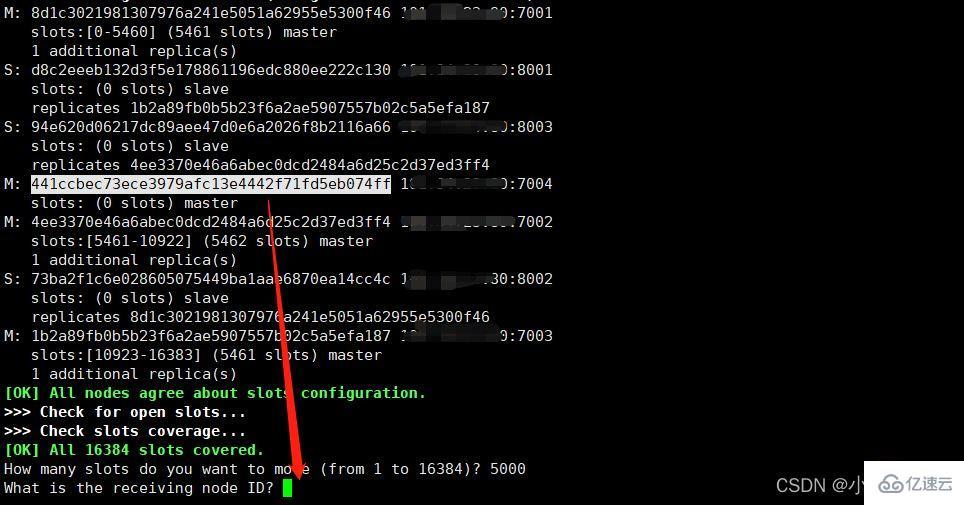 Redis分片集群怎么建立和运用
