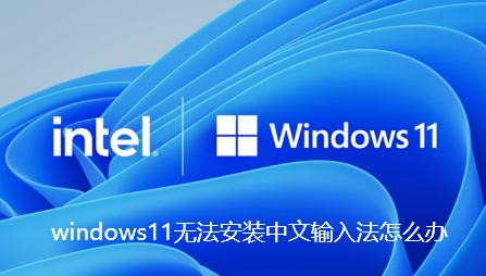 windows11无法安装中文输入法怎么办