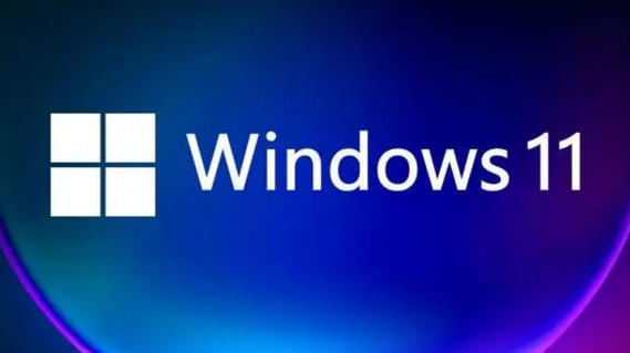 Win11系统怎么显示隐藏文件夹