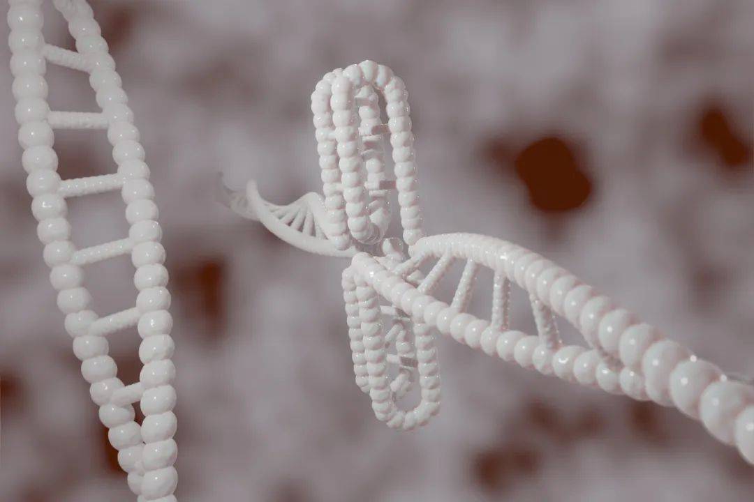 生命科学商业化浪潮来临：百图生科与赛诺菲达成超10亿美元战略合作