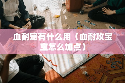 宠物的血耐属性有何作用？如何为血耐攻宝宝进行技能点分配？