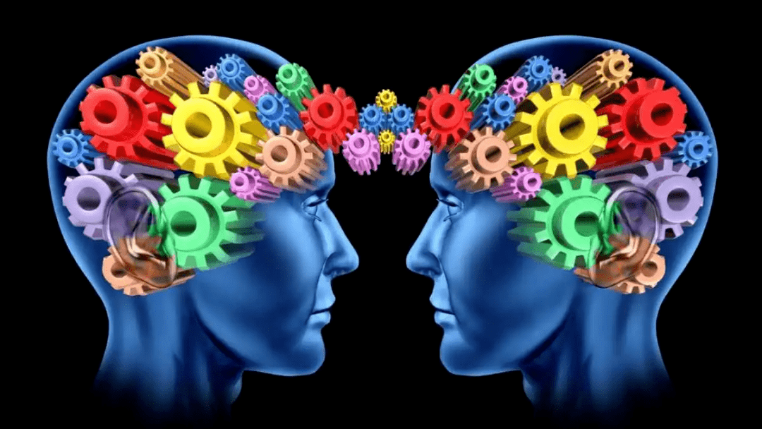 人工智能与神经科学：揭开人脑的奥秘