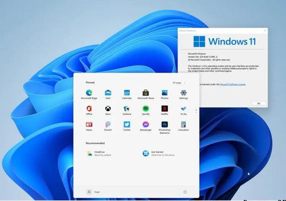 win11家庭版与企业版有何不同?