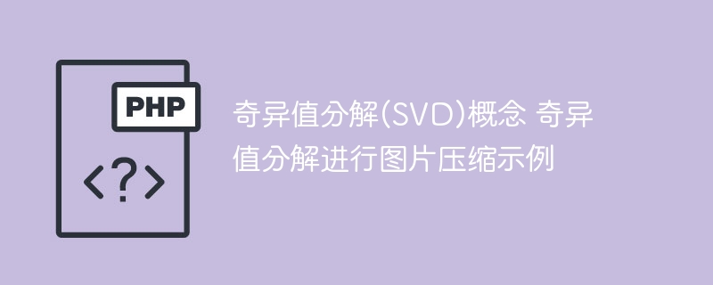 奇异值分解（SVD）的概念和利用奇异值分解进行图片压缩的示例