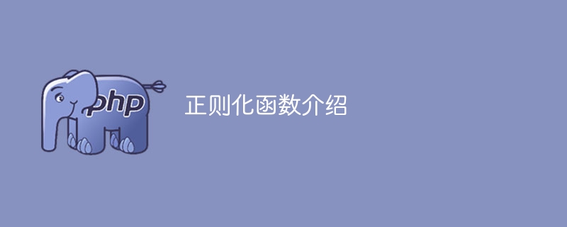 介绍正则化函数的功能