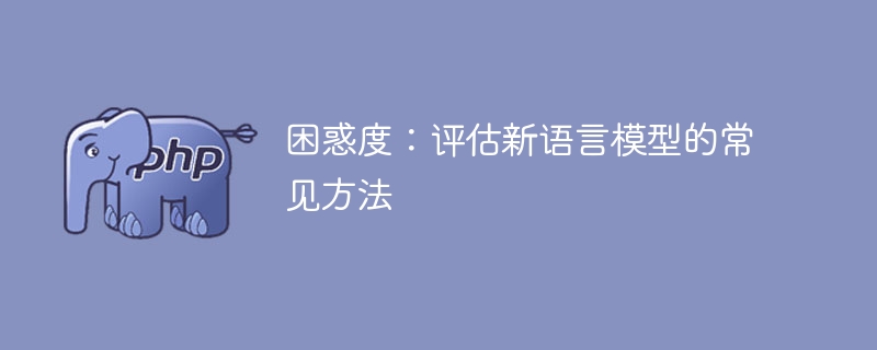 常用的方法：衡量新语言模型的困惑度