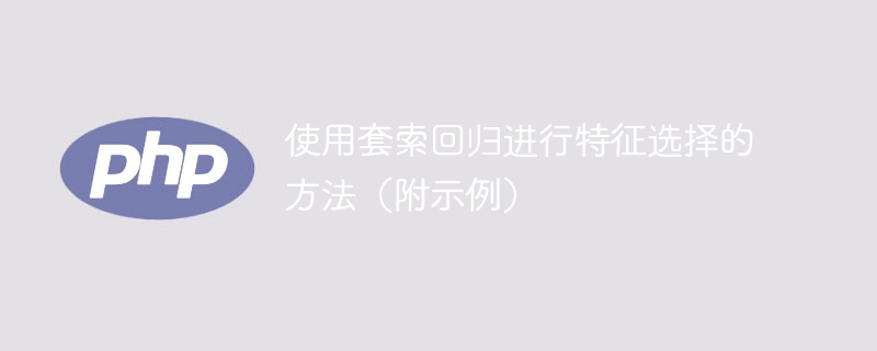 套索回归的特征选择方法及实例