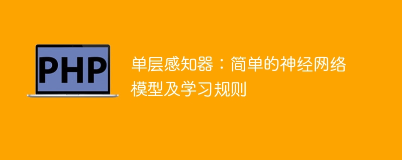 基础感知器：简化的神经网络模型及学习规则
