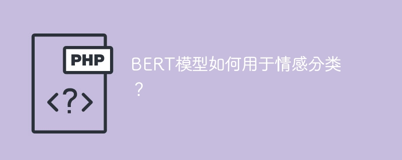使用BERT模型进行情感分类的方法是什么？