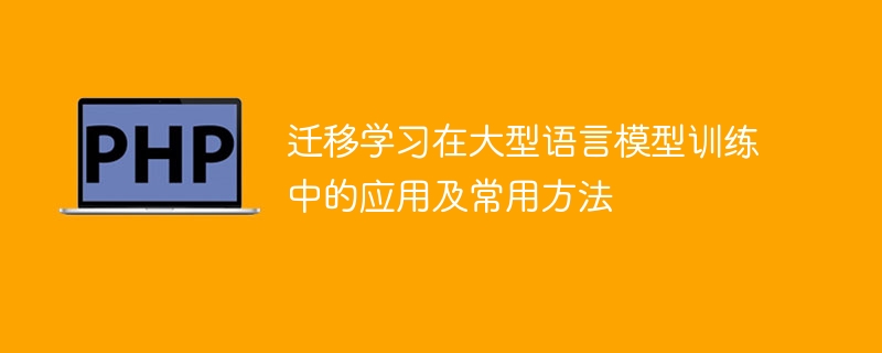 大规模语言模型训练中常见的迁移学习应用及方法