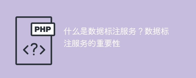 了解数据标注服务以及其重要性