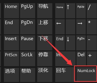win11电脑键盘打不出字解决方法?win11打不了字的解决方法