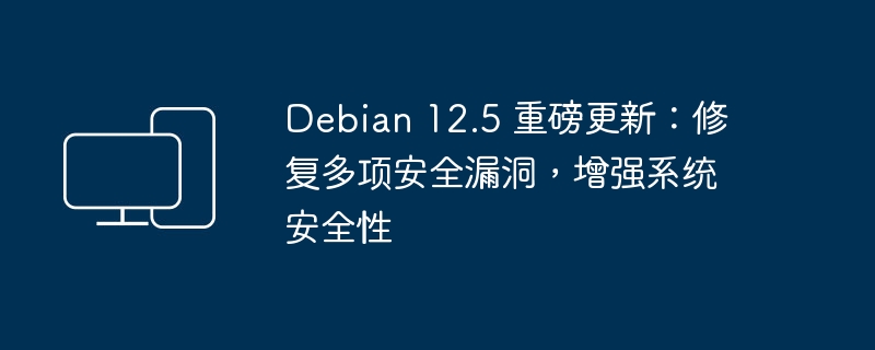 Debian 12.5 发布修复多项安全漏洞，提升系统安全性