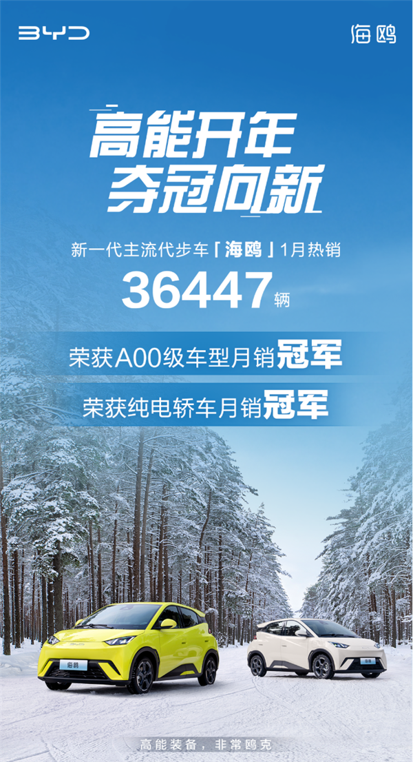 比亚迪海鸥成为1月销量冠军,蝉联A00级车型和纯电轿车双料冠军