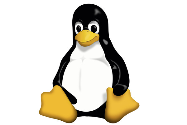 排查Linux网络配置问题及故障解决