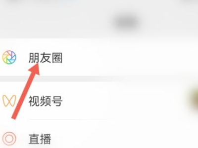 如何在朋友圈中只发布文字内容,不添加图片?