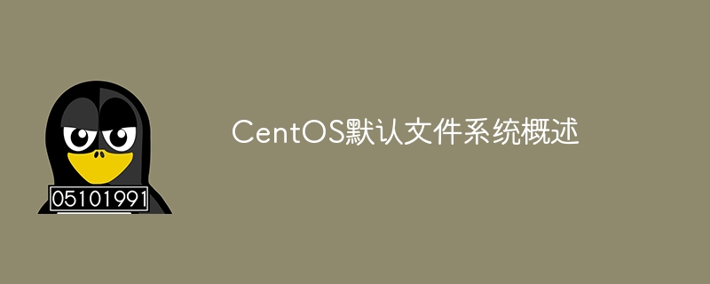 查看 CentOS 默认文件系统