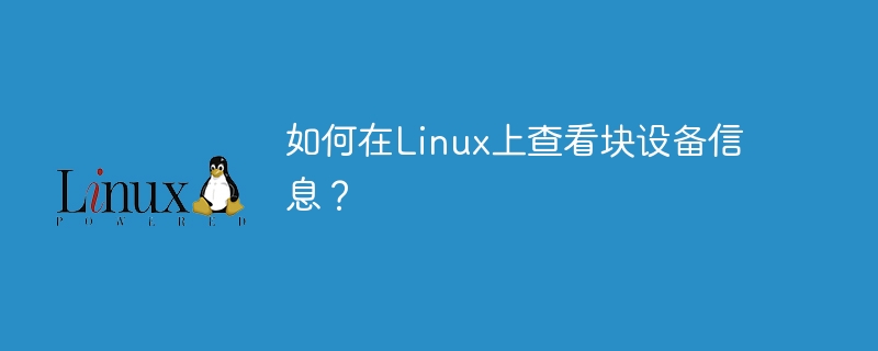 如何在Linux系统中查看块设备信息？