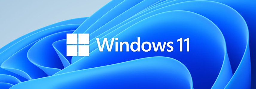 分享你的文件和数据:Windows 11 文件夹共享完全指南