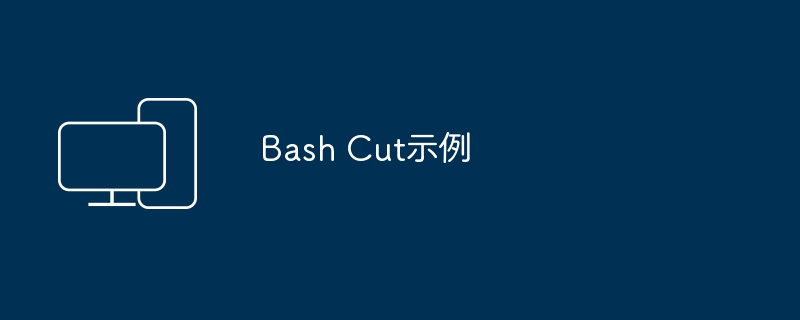 演示Bash Cut命令
