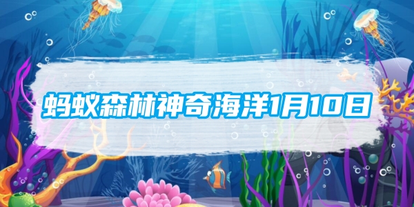 蚂蚁森林神奇海洋1月10日：鲍鱼壳边缘上的小孔有什么用途
