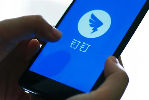 忘记钉钉密码怎么处理 解决登录问题