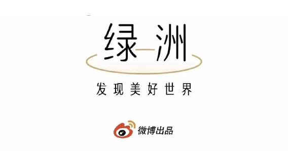 如何查看别人的粉丝数量？