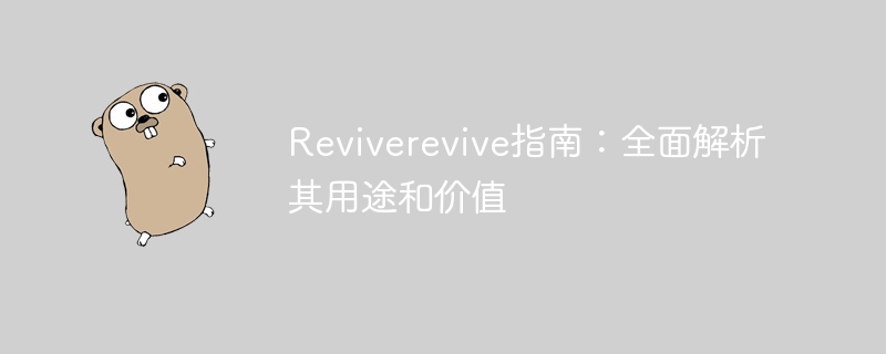 Reviverevive指南:全面解析其用途和价值