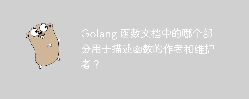 Golang 函数文档中的哪个部分用于描述函数的作者和维护者?