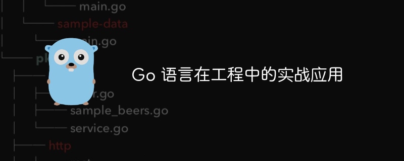 Go 语言在工程中的实战应用