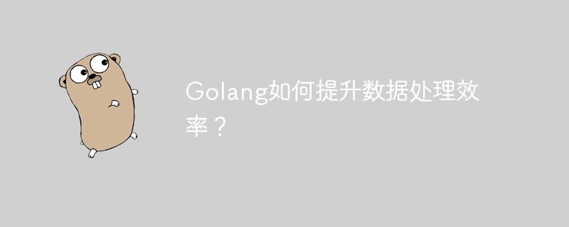 Golang如何提升数据处理效率?
