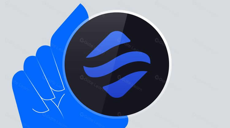 什么是Swell?Swell Network:深入探讨最有趣的L2