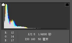 为什么学摄影一定要会看直方图?