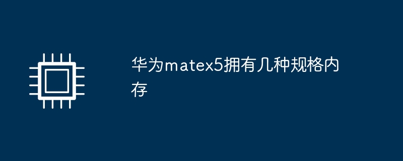 华为matex5拥有几种规格内存