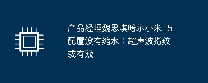 产品经理魏思琪暗示小米15配置没有缩水:超声波指纹或有戏