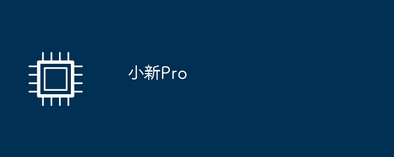 小新Pro