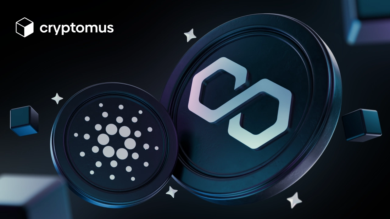 Cardano vs Polygon:深度对比,助你明智投资
