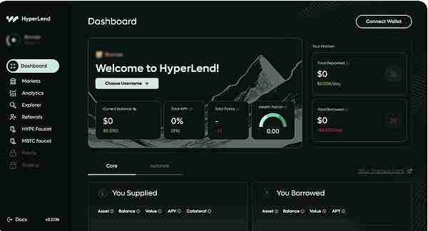 HyperEVM生态项目深度解析:未来前景及热门应用
