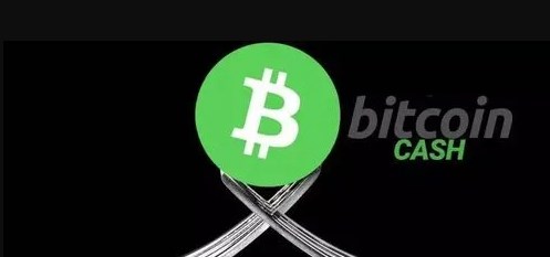 比特现金未来：可扩展性与支付潜力