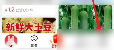 淘特APP怎么联系客服？