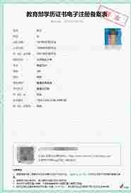 学信网在线验证报告怎么查询