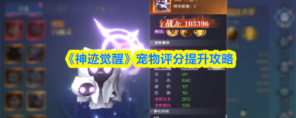 《神迹觉醒》宠物评分提升攻略