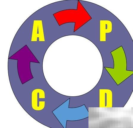 PDCA循环原理与应用解析