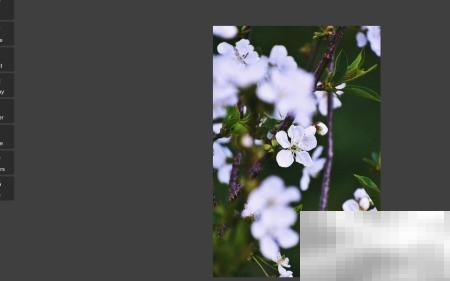 Pixlr Shine滤镜实用技巧分享