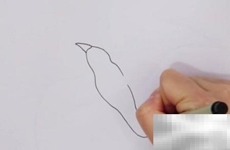 海鸥简笔画步骤教学详解