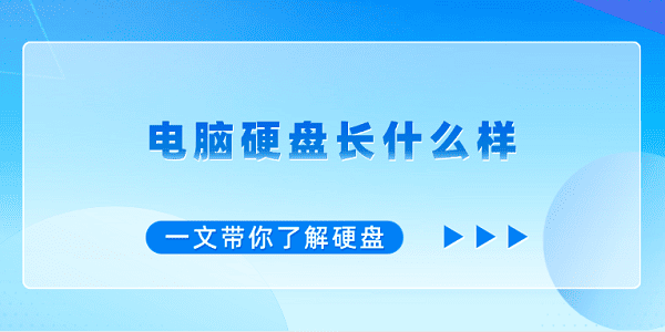 电脑硬盘长什么样？全面解析硬盘外观与结构