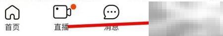 查看阿里个人数据清单方法