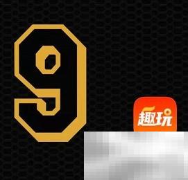趣玩多客赚钱攻略揭秘