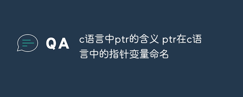 c语言中ptr的含义 ptr在c语言中的指针变量命名